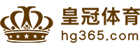 Logo w66利来